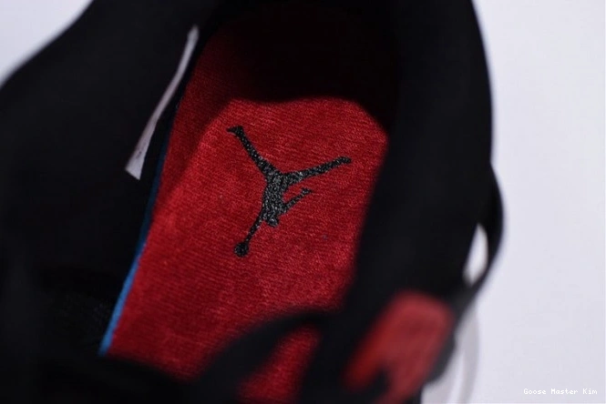 Raptors